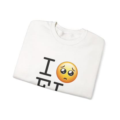 "I'm Begging about Florida" Sweatshirt
