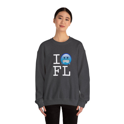 "I'm Cold in Florida" Sweatshirt