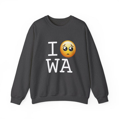 "I'm Begging about Washington" Sweatshirt