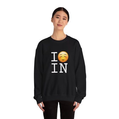 "I Blush at Indiana" Sweatshirt