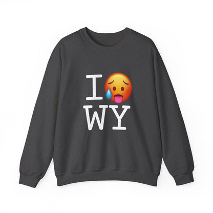 "I'm Hot in Wyoming" Sweatshirt