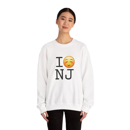 "I Blush at New Jersey" Sweatshirt