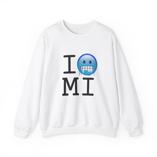 "I'm Cold in Michigan" Sweatshirt