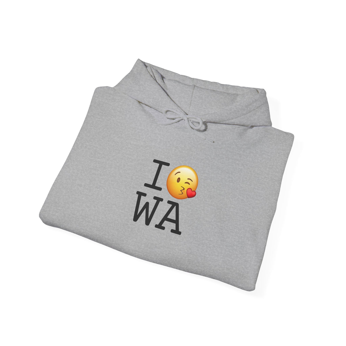 "I Blow a Kiss at Washington" Hoodie