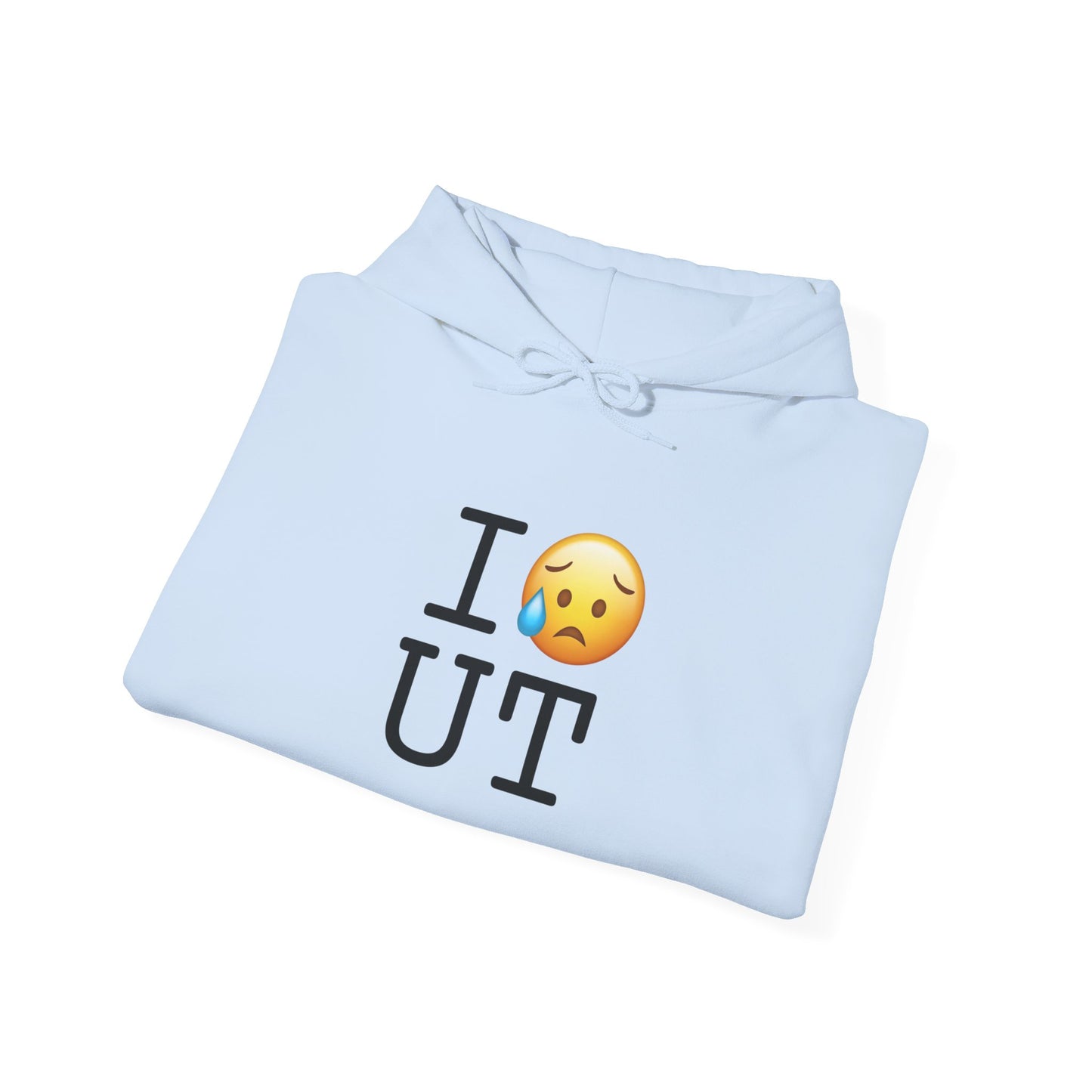 "I'm Sad About Utah" Hoodie
