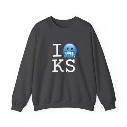 "I'm Cold in Kansas" Sweatshirt