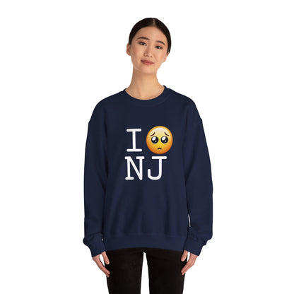 "I'm Begging about New Jersey" Sweatshirt
