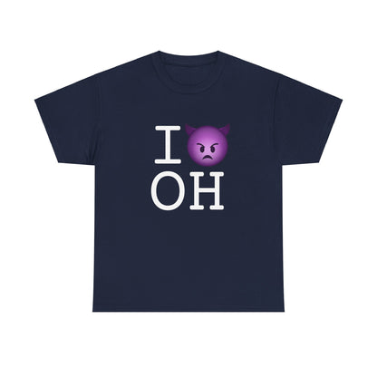 "I'm an Angry Devil about Ohio" Tee