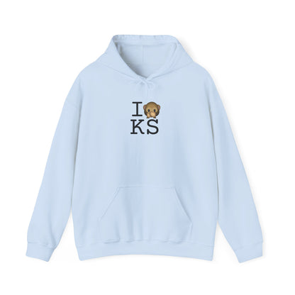 "I Don't Speak about Kansas" Hoodie