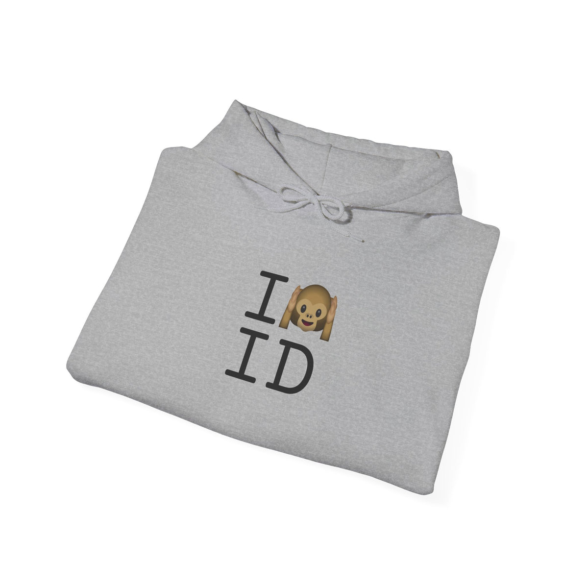 "I Don't Hear Idaho" Hoodie