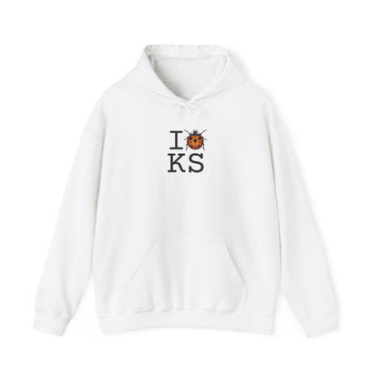 "I Ladybug Kansas" Hoodie