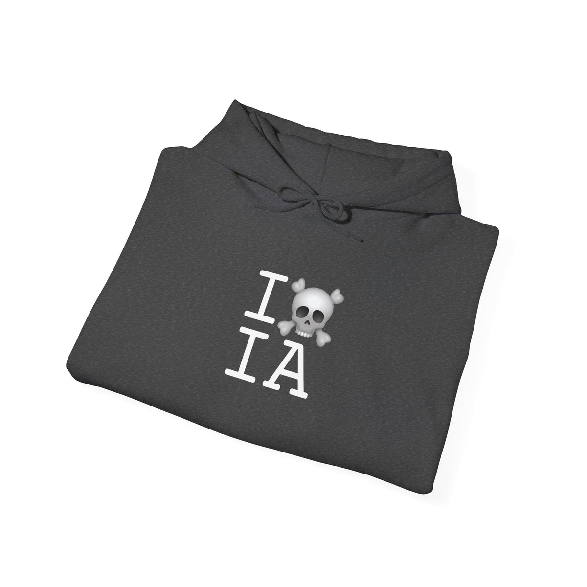 "I'm a Pirate in Iowa" Hoodie