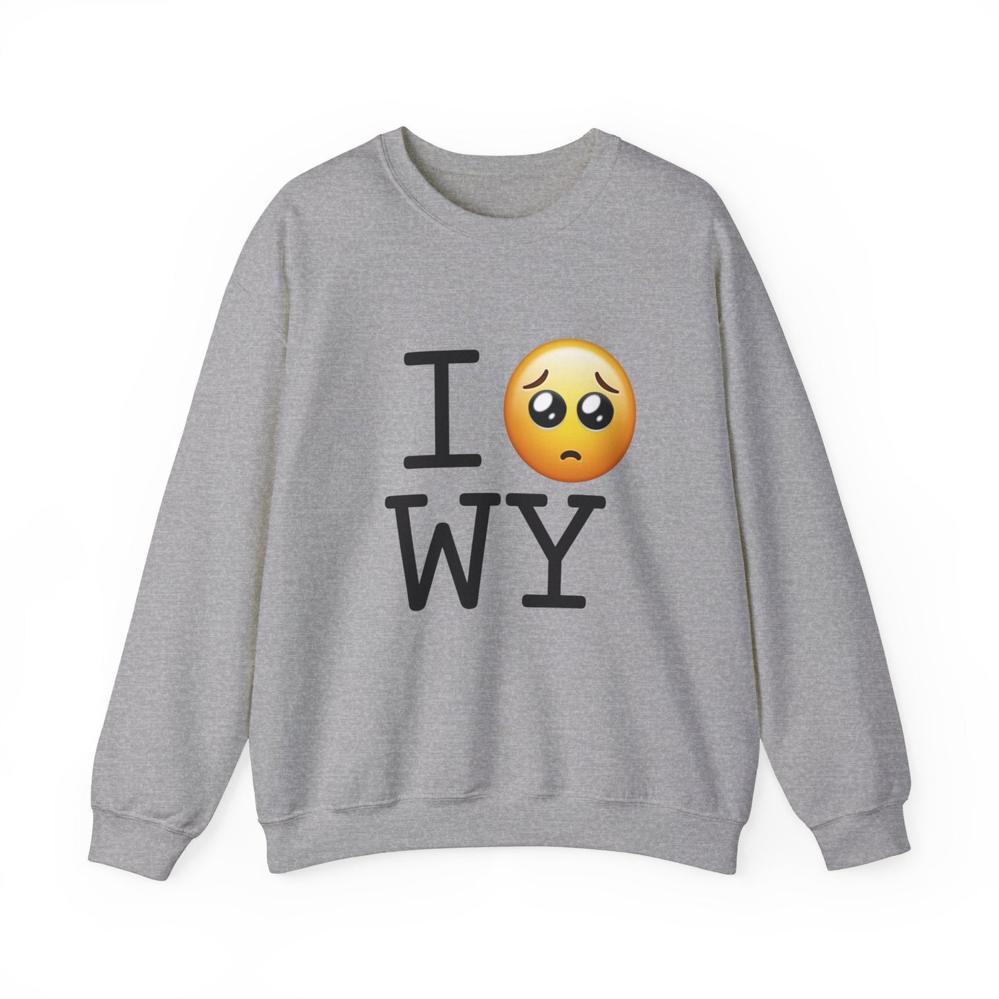 "I'm Begging about Wyoming" Sweatshirt