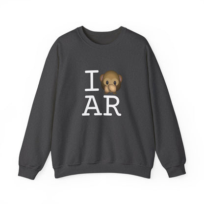 "I Don't Speak about Arkansas" Sweatshirt
