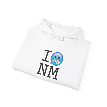 "I'm Cold in New Mexico" Hoodie