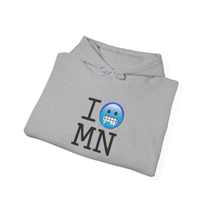 "I'm Cold in Minnesota" Hoodie