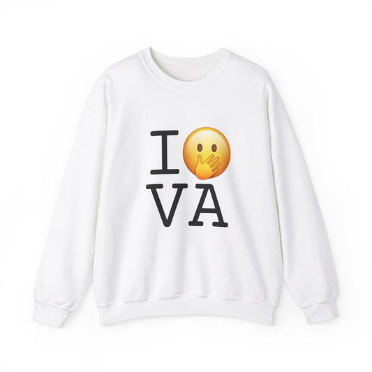 "I Messed Up (Oops) in Virginia" Sweatshirt