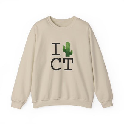 "I Cactus Connecticut" Sweatshirt