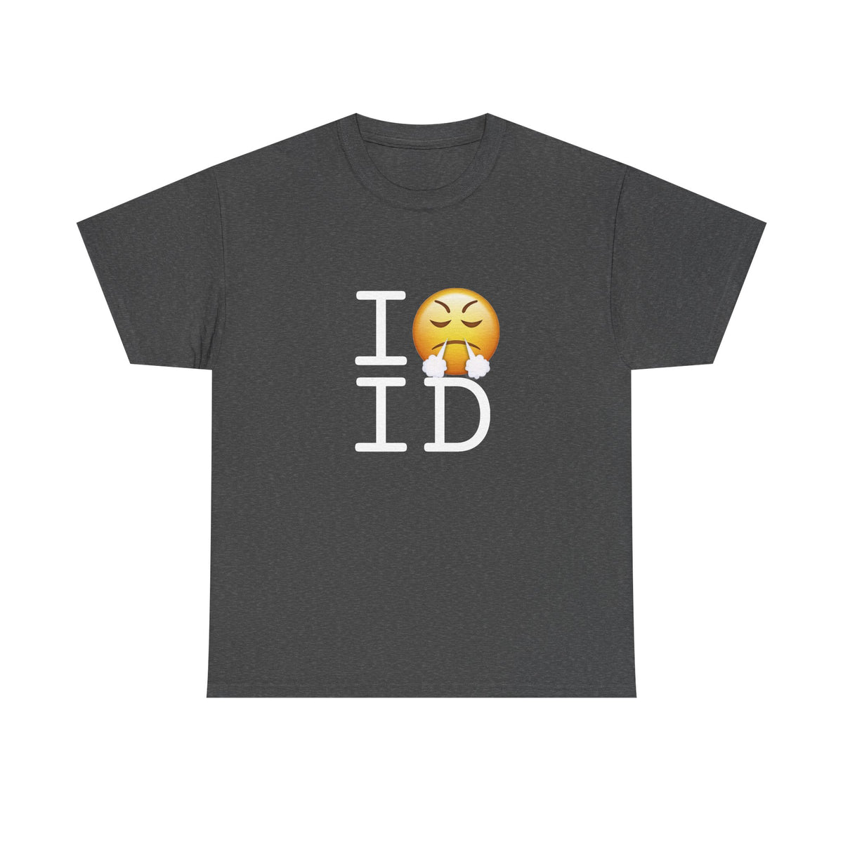 "I'm Furious about Idaho" Tee