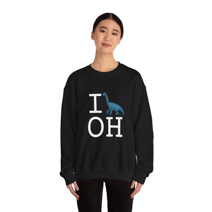 "I'm a Dinosaur in Ohio" Sweatshirt