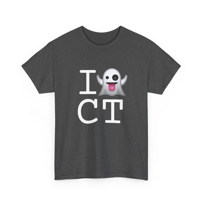 "I'm Ghosting Connecticut" Tee