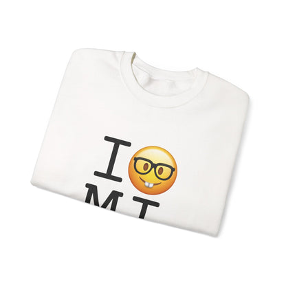"I'm a Nerd about Michigan" Sweatshirt