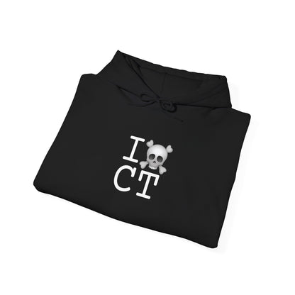 "I'm a Pirate in Connecticut" Hoodie