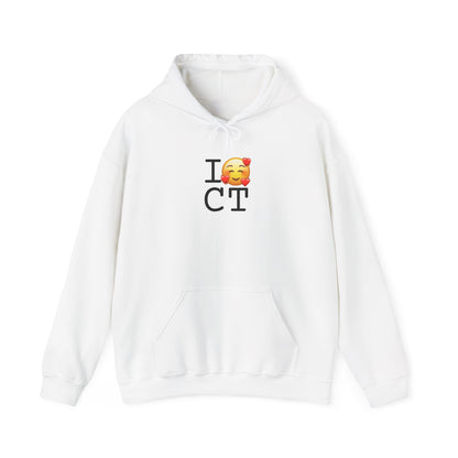 "I Adore Connecticut" Hoodie