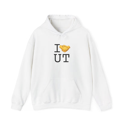 "I Have an Arrangement with Utah" Hoodie