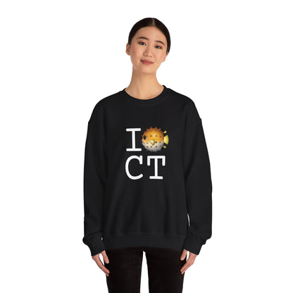 "I Blowfish in Connecticut" Sweatshirt
