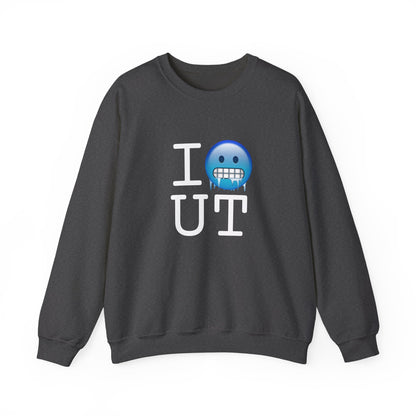 "I'm Cold in Utah" Sweatshirt