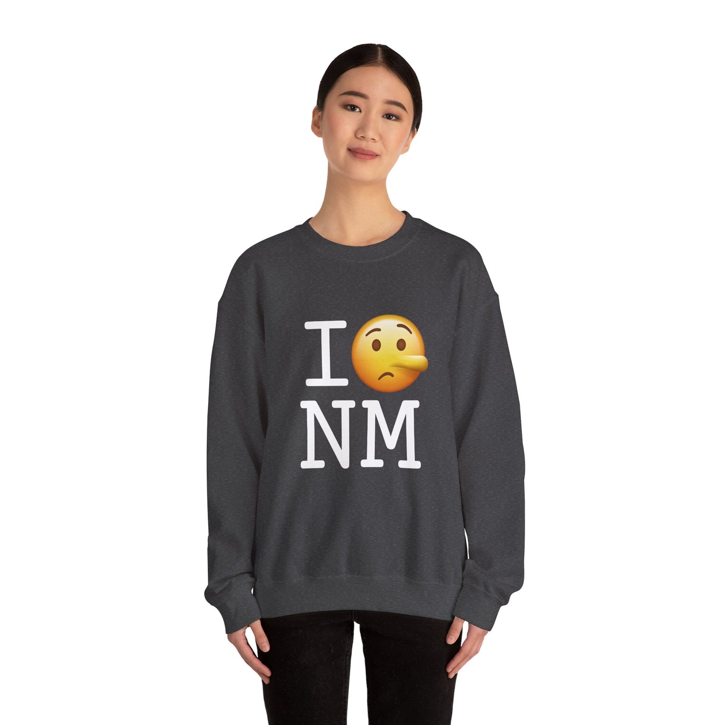 "I Lie about New Mexico" Sweatshirt