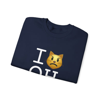 "I'm a Pouting Cat about Ohio" Sweatshirt