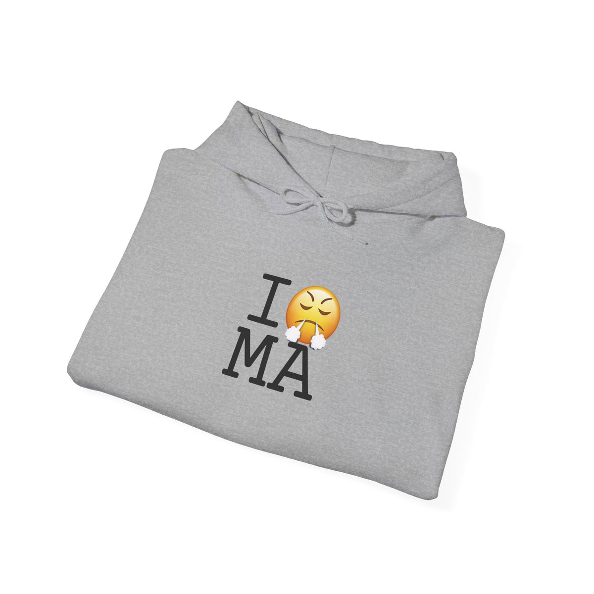 "I'm Furious about Massachusetts" Hoodie
