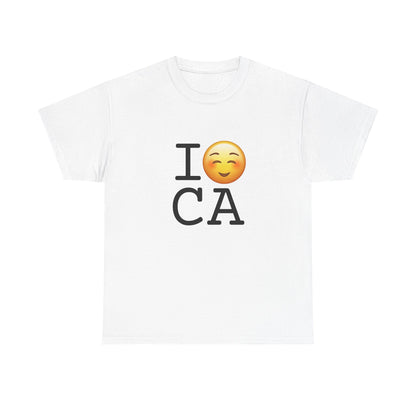 "I Blush at California" Tee