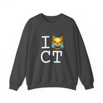 "I'm Laughing like a Cat at Connecticut" Sweatshirt