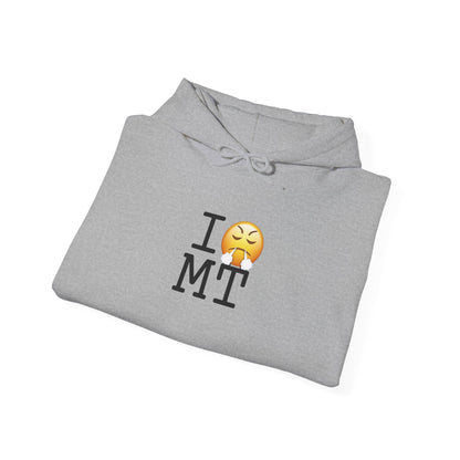 "I'm Furious about Montana" Hoodie