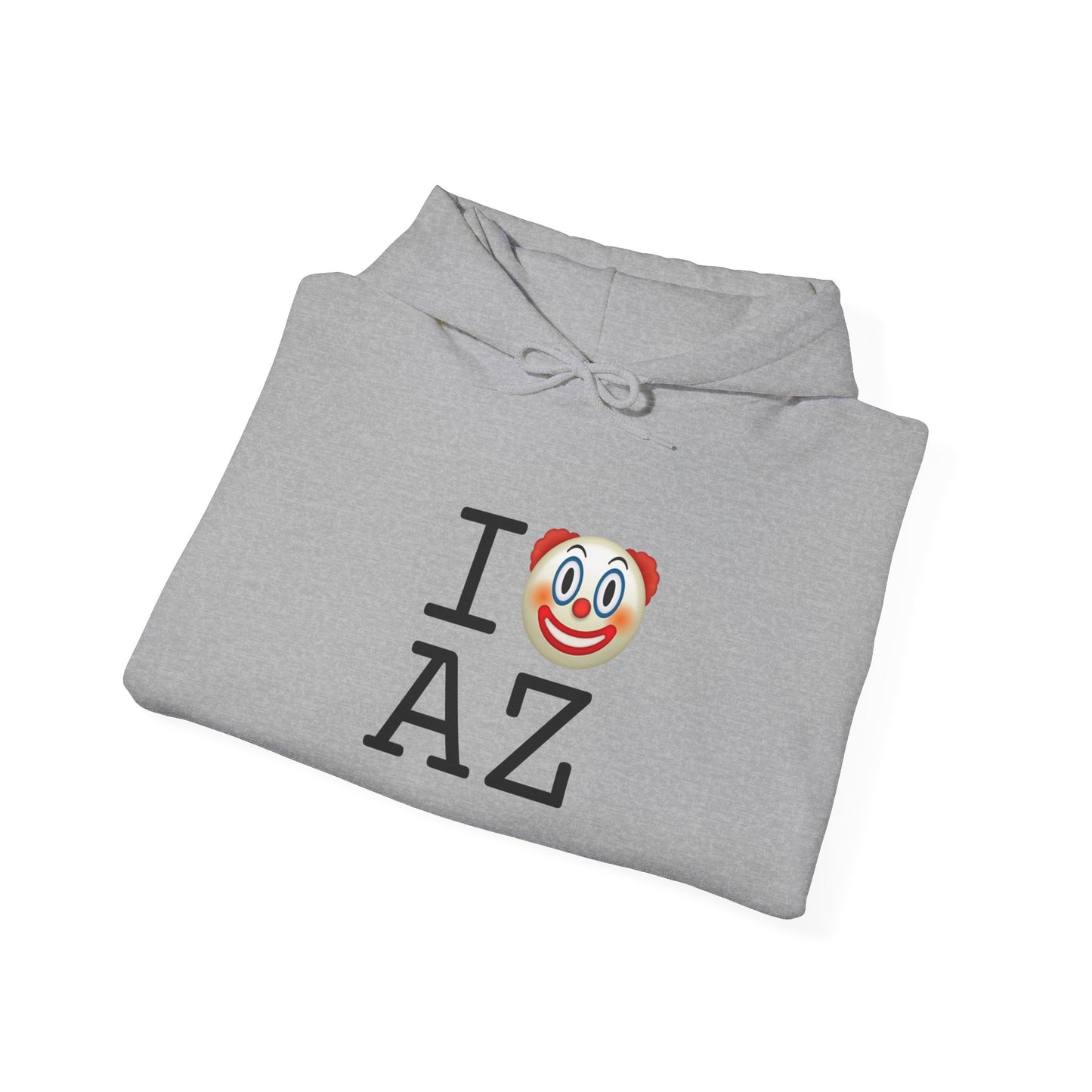 "I Clown on Arizona" Hoodie
