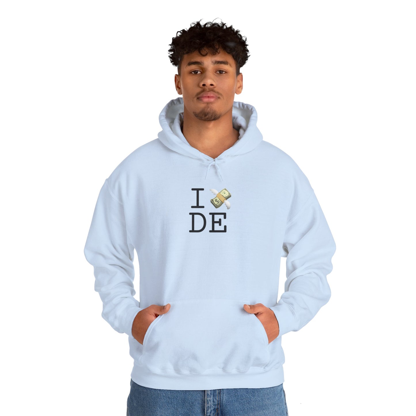 "I Lose Money in Delaware" Hoodie