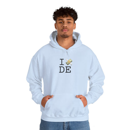 "I Lose Money in Delaware" Hoodie