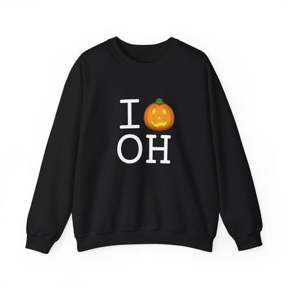 "I Jack-O-Lantern (Pumpkin) Ohio" Sweatshirt