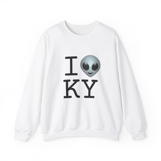 "I Feel Alien in Kentucky" Sweatshirt