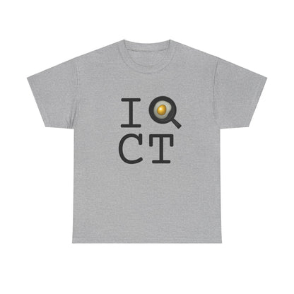 "I Cook in Connecticut" Tee