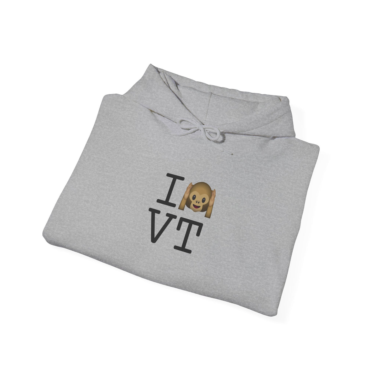 "I Don't Hear Vermont" Hoodie
