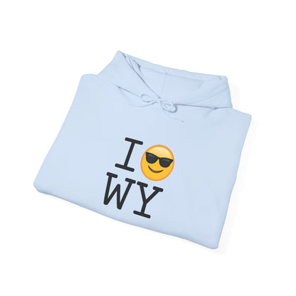 "I'm Cool with Wyoming" Hoodie