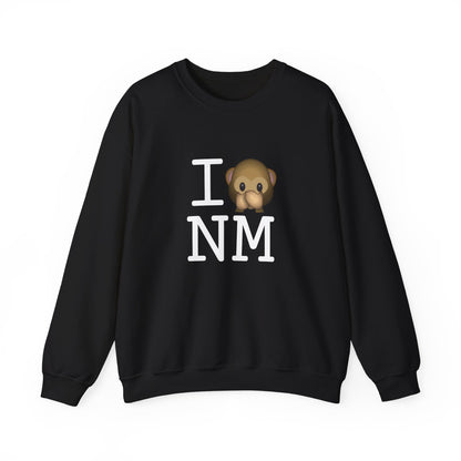 "I Don't Speak about New Mexico" Sweatshirt