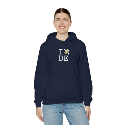 "I Lose Money in Delaware" Hoodie