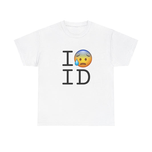 "I'm Anxiously Sweating in Idaho" Tee