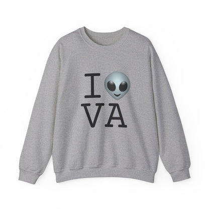 "I Feel Alien in Virginia" Sweatshirt