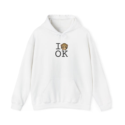 "I Don't Speak about Oklahoma" Hoodie